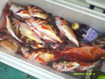 ゆたか丸の2026年3月1日(日)1枚目の写真