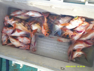 ゆたか丸の2026年3月1日(日)2枚目の写真