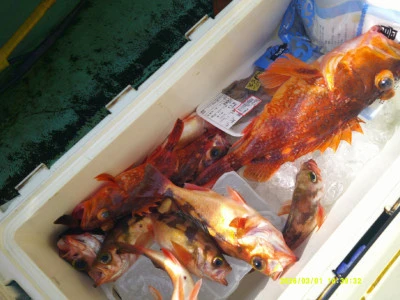 ゆたか丸の2026年3月1日(日)3枚目の写真