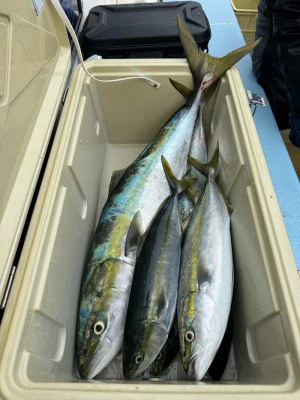 八坂丸の2026年2月26日(木)2枚目の写真