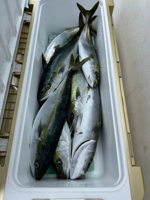 八坂丸の2026年2月26日(木)3枚目の写真