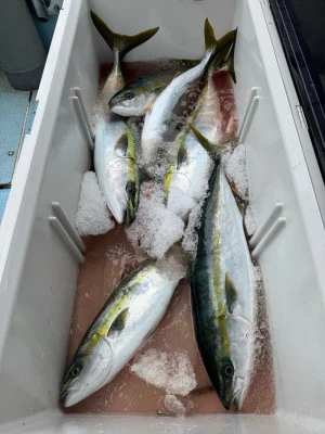 八坂丸の2026年2月26日(木)4枚目の写真