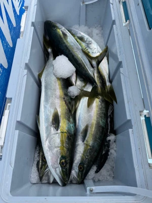 八坂丸の2026年2月26日(木)5枚目の写真