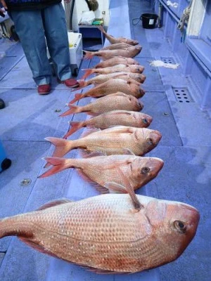 美喜丸の2026年3月2日(月)1枚目の写真