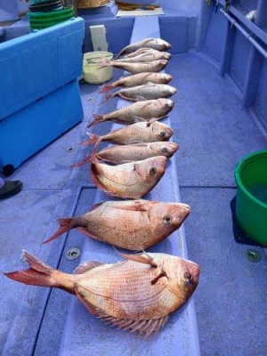 美喜丸の2026年3月2日(月)2枚目の写真