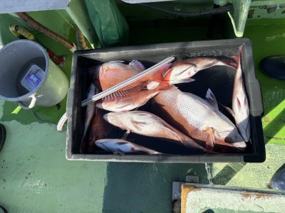 青木丸の2026年3月4日(水)3枚目の写真