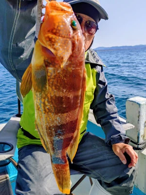 ゆきみ丸の2026年3月4日(水)3枚目の写真