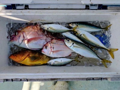 ゆきみ丸の2026年3月4日(水)4枚目の写真