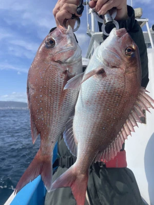 ことぶき丸の2026年2月28日(土)5枚目の写真