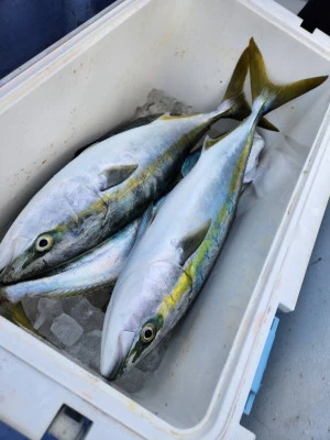 不動丸の2026年3月1日(日)5枚目の写真