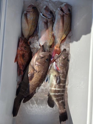 富士丸の2026年2月28日(土)2枚目の写真