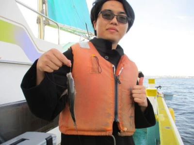 打木屋釣船店の2026年2月27日(金)3枚目の写真