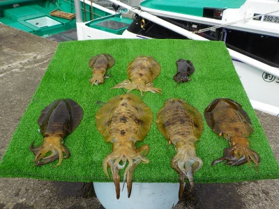 釣り船 久勝丸の2026年3月2日(月)5枚目の写真