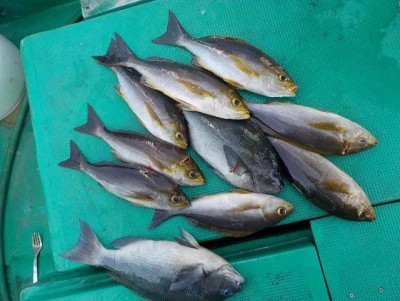 天昇丸の2026年3月5日(木)2枚目の写真