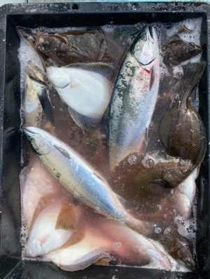 第35末広丸の2026年3月5日(木)4枚目の写真