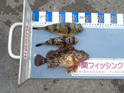 下関フィッシングパークの2026年3月4日(水)1枚目の写真