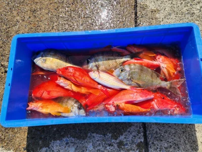 オーシャンサポートサービス 代々丸の2026年3月5日(木)2枚目の写真