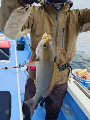 佐衛美丸の2026年3月6日(金)2枚目の写真