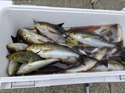 佐衛美丸の2026年3月6日(金)3枚目の写真