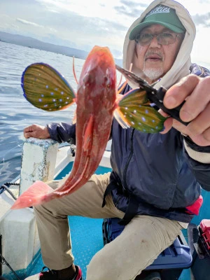 ゆきみ丸の2026年3月6日(金)4枚目の写真