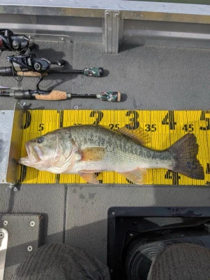 アウトドアハウスアオノの2026年3月6日(金)2枚目の写真