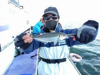 三喜丸釣船店の2026年3月7日(土)2枚目の写真