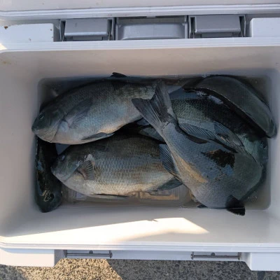 北浦瀬渡し FŪの2026年3月7日(土)1枚目の写真