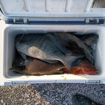 北浦瀬渡し FŪの2026年3月7日(土)2枚目の写真