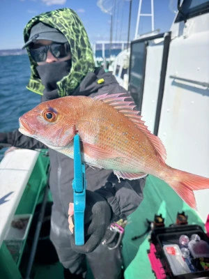 日正丸の2026年3月8日(日)3枚目の写真