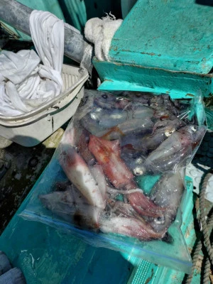 第八鶴丸の2026年3月8日(日)1枚目の写真