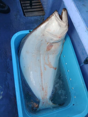 勇盛丸の2026年3月8日(日)4枚目の写真