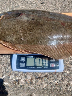 勇盛丸の2026年3月8日(日)5枚目の写真