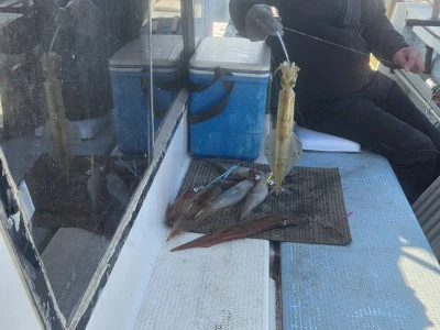 春盛丸の2026年3月8日(日)4枚目の写真