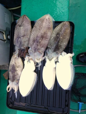 平良丸の2026年3月8日(日)2枚目の写真