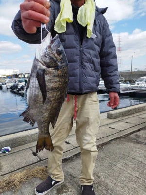 日の出渡船の2026年3月8日(日)2枚目の写真