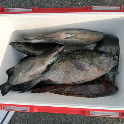 北浦瀬渡し FŪの2026年3月8日(日)2枚目の写真