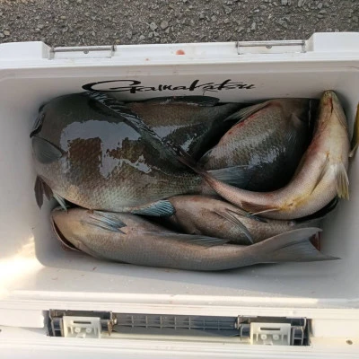 北浦瀬渡し FŪの2026年3月8日(日)3枚目の写真