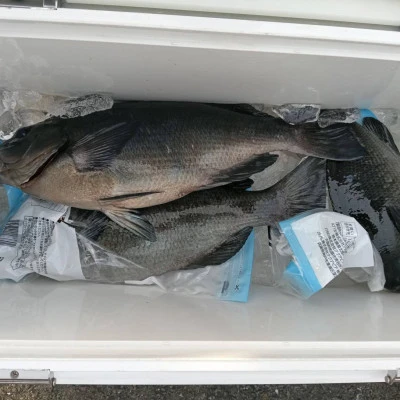 北浦瀬渡し FŪの2026年3月8日(日)4枚目の写真