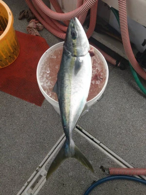 秀丸の2026年3月6日(金)1枚目の写真