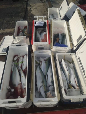 秀丸の2026年3月7日(土)1枚目の写真