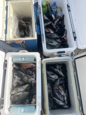 秀丸の2026年3月7日(土)2枚目の写真