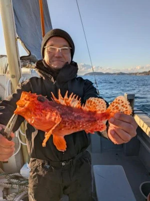 緑龍丸の2026年3月8日(日)3枚目の写真