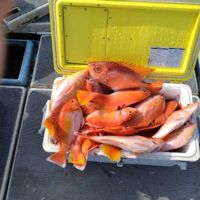 明石丸の2026年3月8日(日)4枚目の写真