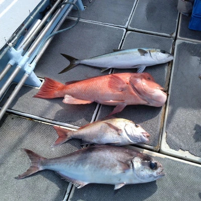 明石丸の2026年3月8日(日)5枚目の写真