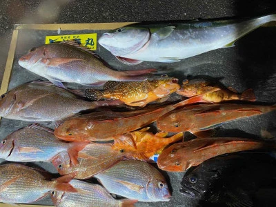 大春丸の2026年3月8日(日)5枚目の写真