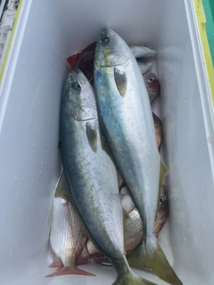 日正丸の2026年3月9日(月)5枚目の写真