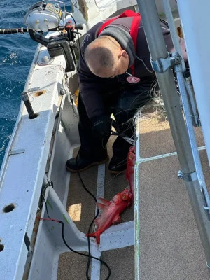 番匠高宮丸の2026年3月6日(金)2枚目の写真