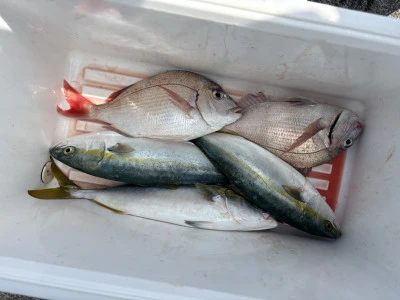 青木丸の2026年3月9日(月)1枚目の写真