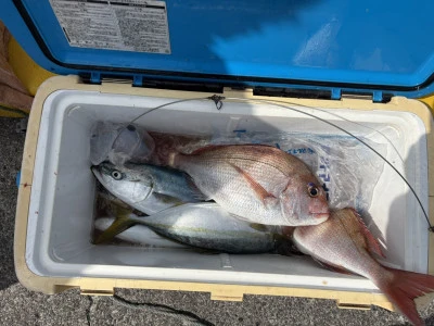 青木丸の2026年3月9日(月)2枚目の写真