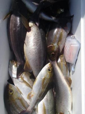 村井丸の2026年3月9日(月)5枚目の写真